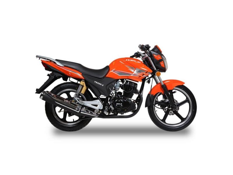 Выбрали Wels Gold Sport: как получить от мотоцикла максимум энергии и скорости