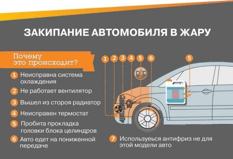Выезжаете из Латвии в Россию на автомобиле: полезная информация для комфортного транзита