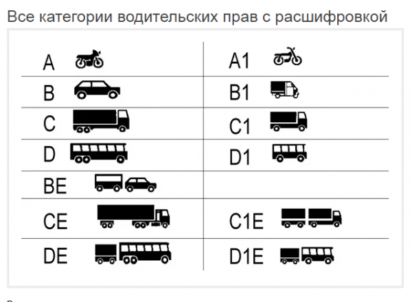 Категории прав водительских удостоверений в 2023-2024 году с расшифровкой